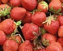 Strawberries from High Acres Fruit Farm -  Hartford Michigan